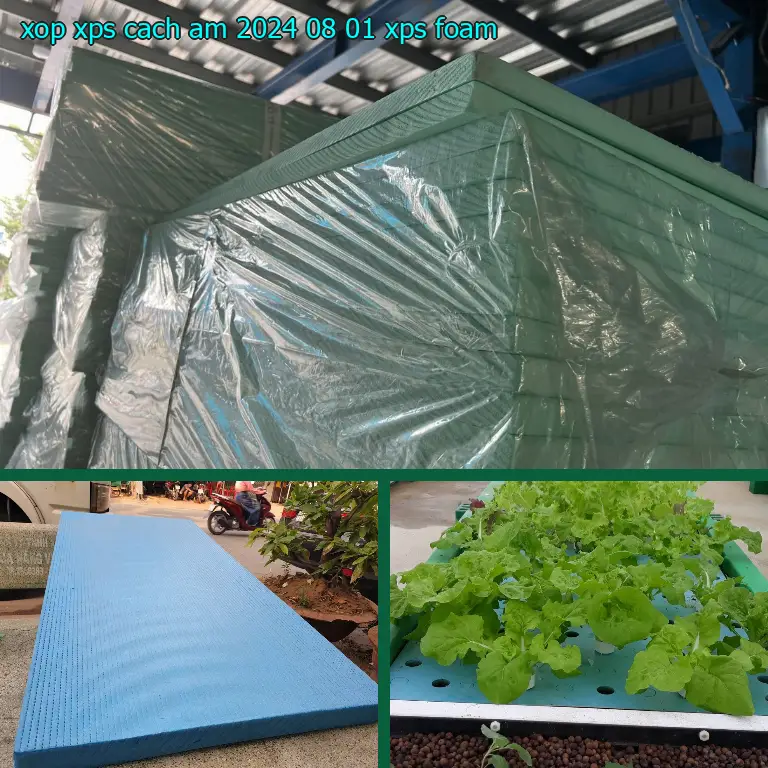 Danh mục xốp XPS cách âm 2024-08-01: XPS Foam Danh mục xốp XPS cách âm 2024-08-01: XPS Foam