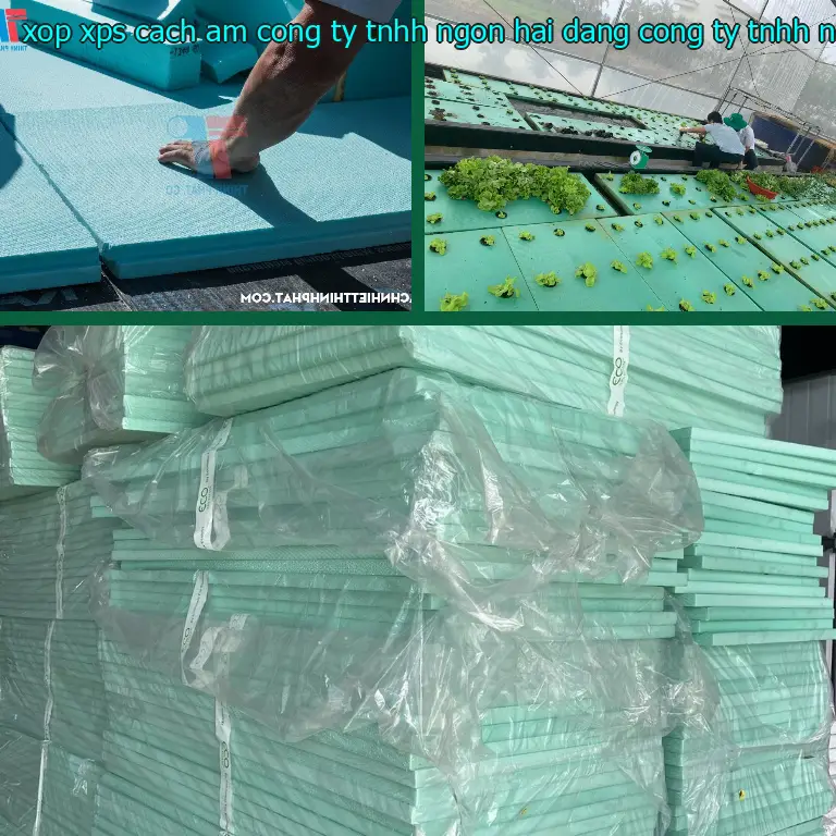 Nhà cung cấp xốp XPS cách âm Công ty TNHH Ngọn Hải Đăng: Công ty TNHH Ngọn Hải Đăng Nhà cung cấp xốp XPS cách âm Công ty TNHH Ngọn Hải Đăng: Công ty TNHH Ngọn Hải Đăng