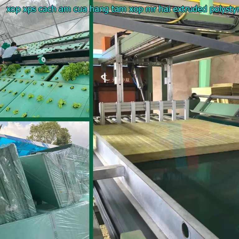Chất liệu xốp XPS cách âm Cửa hàng tấm xốp Mr.HẢI: Extruded Polystyrene Foam
