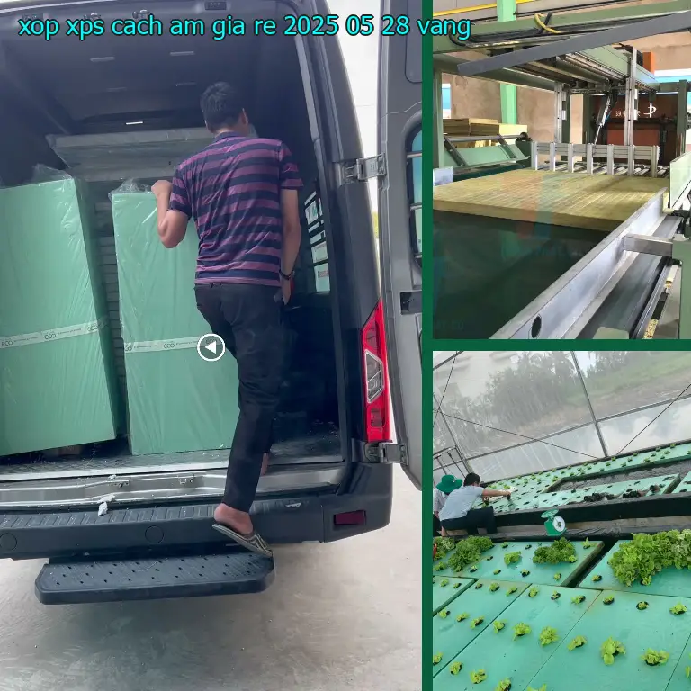 Màu sắc xốp XPS cách âm giá rẻ 2025-05-28: Vàng Màu sắc xốp XPS cách âm giá rẻ 2025-05-28: Vàng