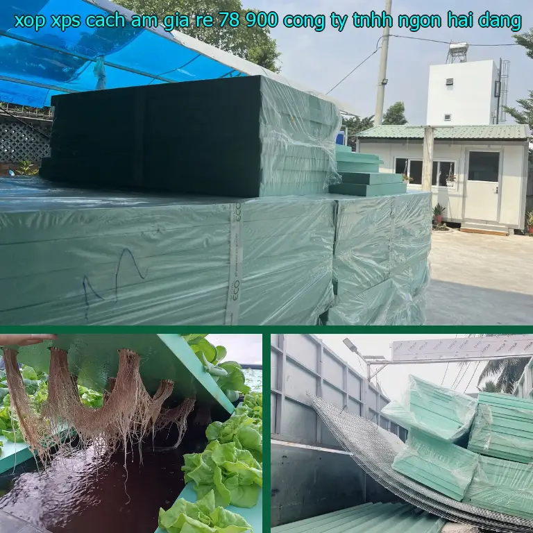 Nhà cung cấp xốp XPS cách âm giá rẻ 78.900₫: Công ty TNHH Ngọn Hải Đăng Nhà cung cấp xốp XPS cách âm giá rẻ 78.900₫: Công ty TNHH Ngọn Hải Đăng