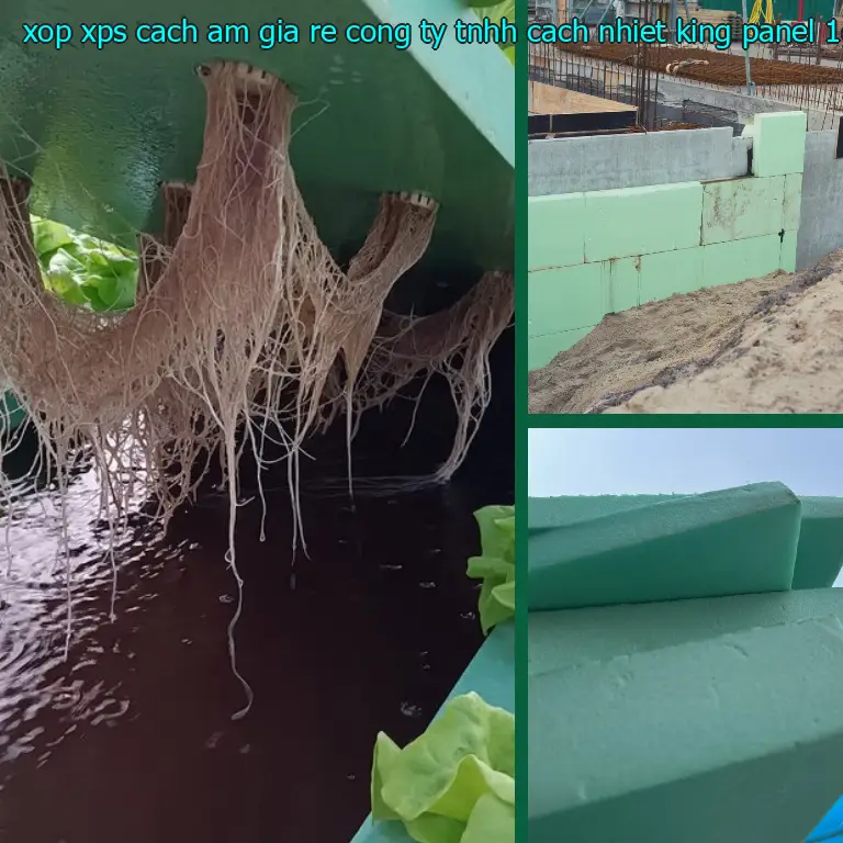 Model xốp XPS cách âm giá rẻ Công ty TNHH cách nhiệt King Panel: 1GOYBD Model xốp XPS cách âm giá rẻ Công ty TNHH cách nhiệt King Panel: 1GOYBD