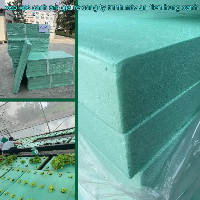 Màu sắc xốp XPS cách âm giá rẻ Công ty TNHH MTV An Tiến Hưng: Xanh dương Màu sắc xốp XPS cách âm giá rẻ Công ty TNHH MTV An Tiến Hưng: Xanh dương