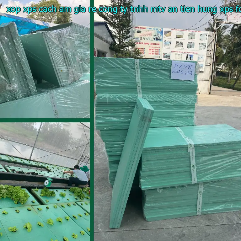Danh mục xốp XPS cách âm giá rẻ Công ty TNHH MTV An Tiến Hưng: XPS Foam Board Danh mục xốp XPS cách âm giá rẻ Công ty TNHH MTV An Tiến Hưng: XPS Foam Board