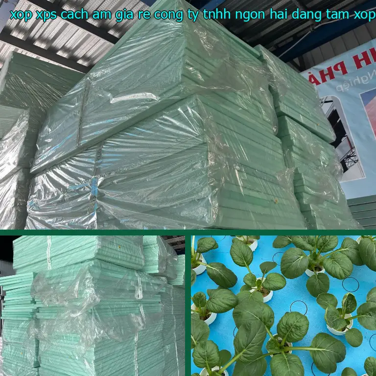 Nhà sản xuất xốp XPS cách âm giá rẻ Công ty TNHH Ngọn Hải Đăng: Tấm xốp XPS Hiệp Thành Nhà sản xuất xốp XPS cách âm giá rẻ Công ty TNHH Ngọn Hải Đăng: Tấm xốp XPS Hiệp Thành