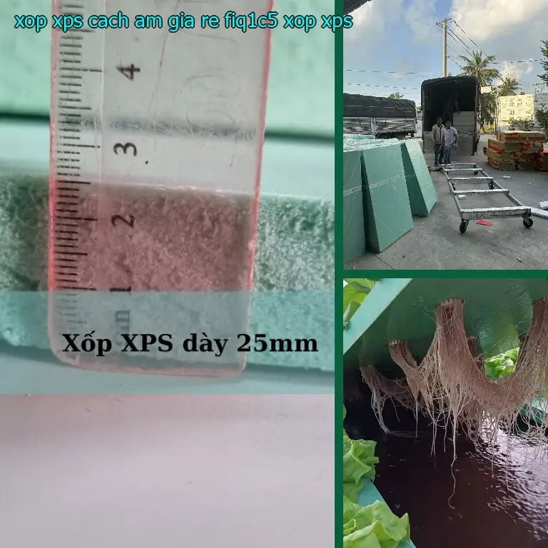 Danh mục xốp XPS cách âm giá rẻ FIQ1C5: Xốp XPS Danh mục xốp XPS cách âm giá rẻ FIQ1C5: Xốp XPS
