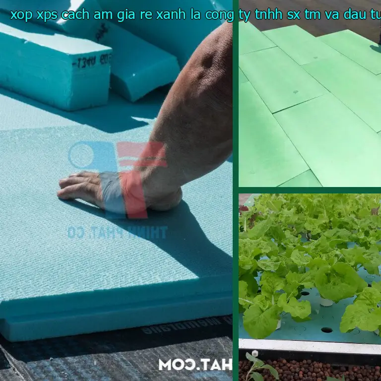 Nhà sản xuất xốp XPS cách âm giá rẻ Xanh lá: Công ty TNHH SX TM và đầu tư Tiến Phong Nhà sản xuất xốp XPS cách âm giá rẻ Xanh lá: Công ty TNHH SX TM và đầu tư Tiến Phong