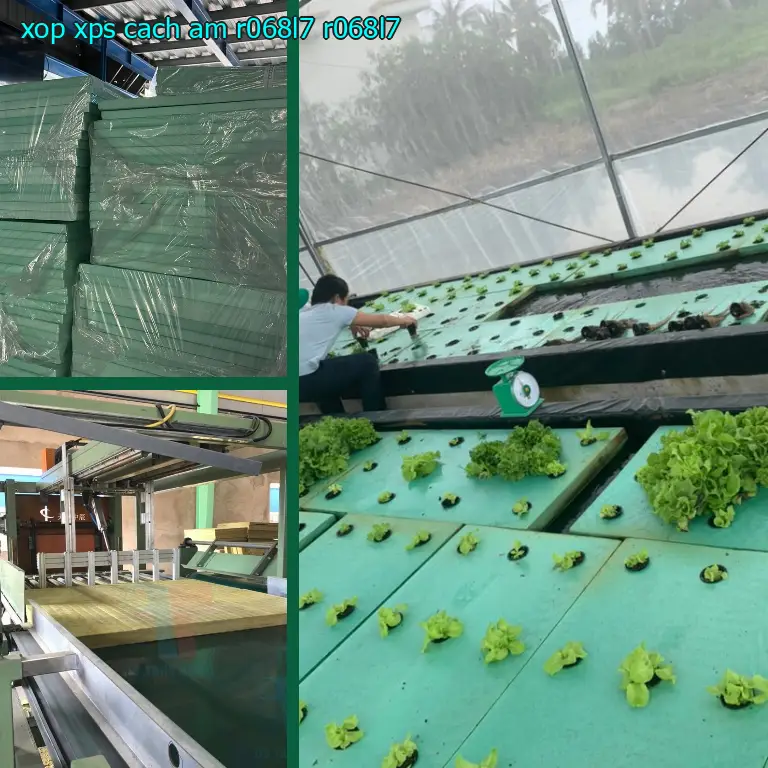 Model xốp XPS cách âm R068L7: R068L7