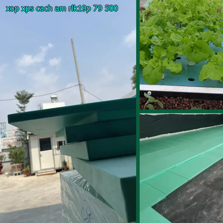 Giá xốp XPS cách âm RLK19P: 79.500₫ Giá xốp XPS cách âm RLK19P: 79.500₫