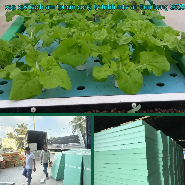 Ngày sản xuất xốp XPS cách âm TpHCM Công ty TNHH MTV An Tiến Hưng: 2025-06-03 Ngày sản xuất xốp XPS cách âm TpHCM Công ty TNHH MTV An Tiến Hưng: 2025-06-03