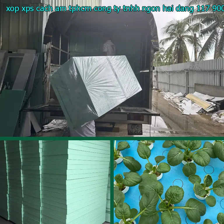 Giá xốp XPS cách âm TpHCM Công ty TNHH Ngọn Hải Đăng: 117.900₫ Giá xốp XPS cách âm TpHCM Công ty TNHH Ngọn Hải Đăng: 117.900₫