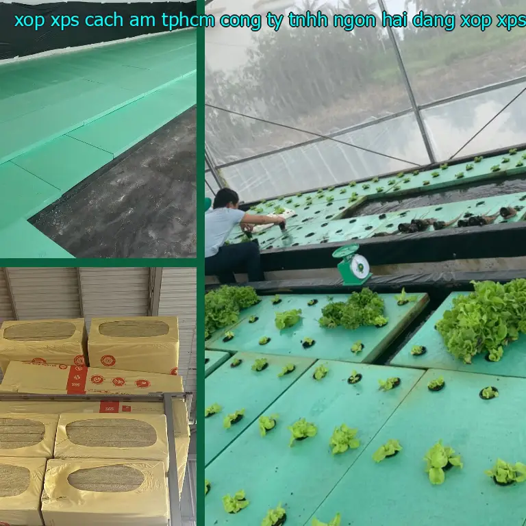 Danh mục xốp XPS cách âm TpHCM Công ty TNHH Ngọn Hải Đăng: Xốp XPS Danh mục xốp XPS cách âm TpHCM Công ty TNHH Ngọn Hải Đăng: Xốp XPS