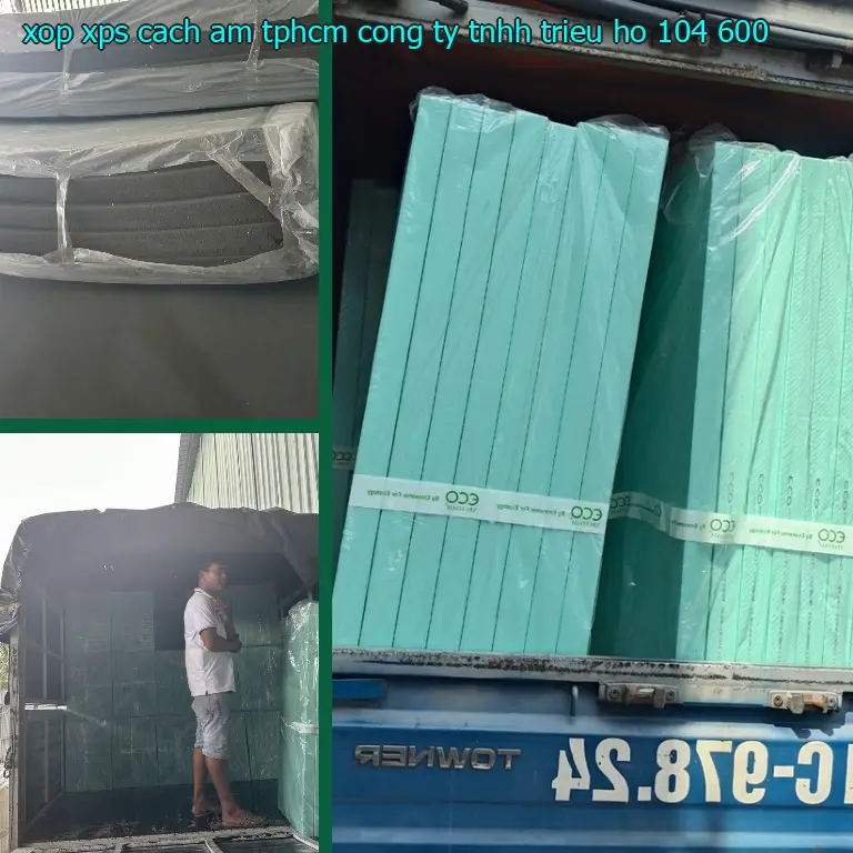 Giá xốp XPS cách âm TpHCM Công ty TNHH Triệu Hổ: 104.600₫ Giá xốp XPS cách âm TpHCM Công ty TNHH Triệu Hổ: 104.600₫