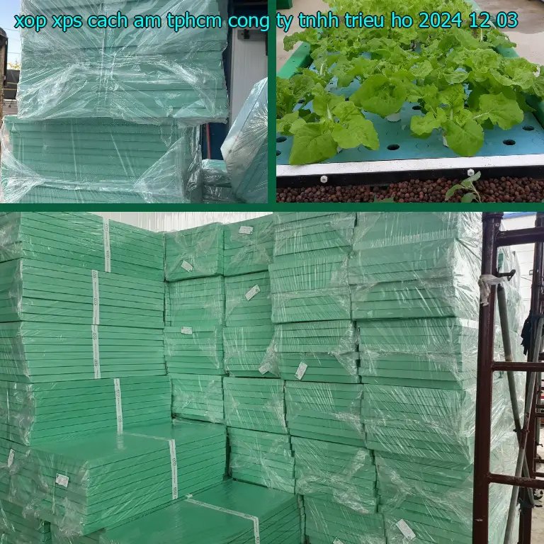 Ngày sản xuất xốp XPS cách âm TpHCM Công ty TNHH Triệu Hổ: 2024-12-03 Ngày sản xuất xốp XPS cách âm TpHCM Công ty TNHH Triệu Hổ: 2024-12-03