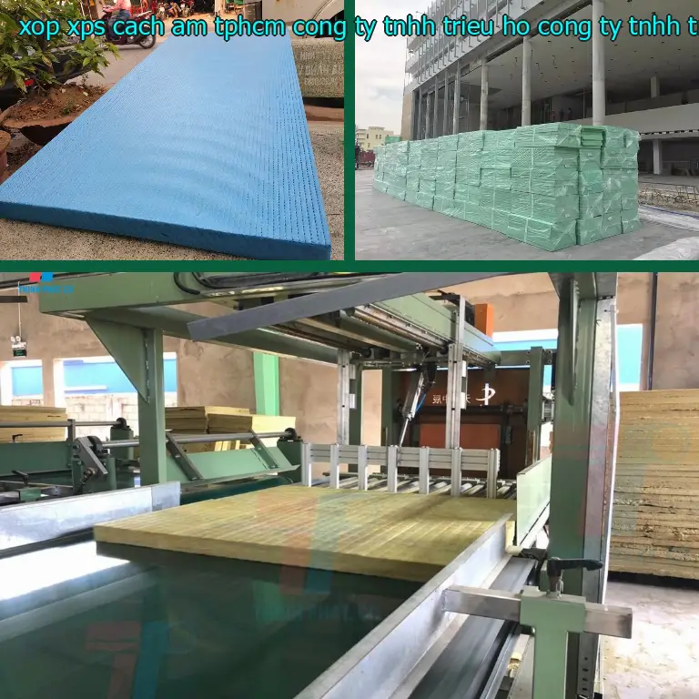 Nhà sản xuất xốp XPS cách âm TpHCM Công ty TNHH Triệu Hổ: Công ty TNHH Triệu Hổ Nhà sản xuất xốp XPS cách âm TpHCM Công ty TNHH Triệu Hổ: Công ty TNHH Triệu Hổ