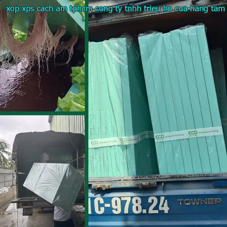 Nhà cung cấp xốp XPS cách âm TpHCM Công ty TNHH Triệu Hổ: Cửa hàng tấm xốp Mr.HẢI Nhà cung cấp xốp XPS cách âm TpHCM Công ty TNHH Triệu Hổ: Cửa hàng tấm xốp Mr.HẢI