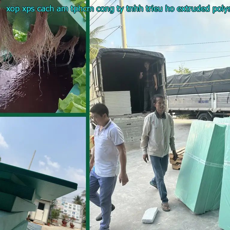 Chất liệu xốp XPS cách âm TpHCM Công ty TNHH Triệu Hổ: Extruded Polystyrene Foam Chất liệu xốp XPS cách âm TpHCM Công ty TNHH Triệu Hổ: Extruded Polystyrene Foam