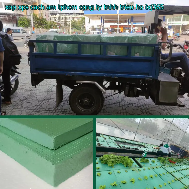 Model xốp XPS cách âm TpHCM Công ty TNHH Triệu Hổ: IXJ365 Model xốp XPS cách âm TpHCM Công ty TNHH Triệu Hổ: IXJ365