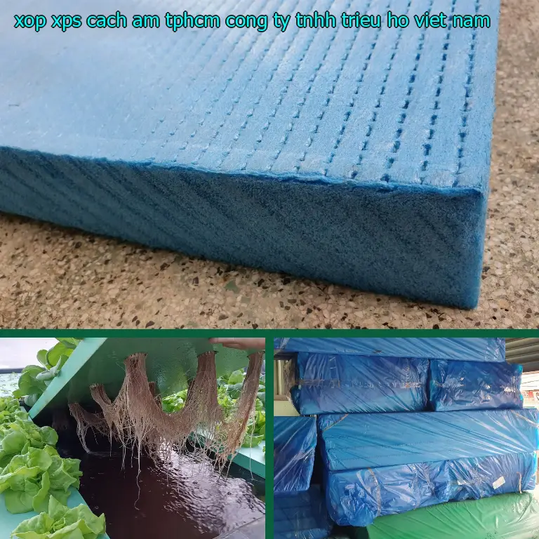Xuất xứ xốp XPS cách âm TpHCM Công ty TNHH Triệu Hổ: Việt Nam Xuất xứ xốp XPS cách âm TpHCM Công ty TNHH Triệu Hổ: Việt Nam