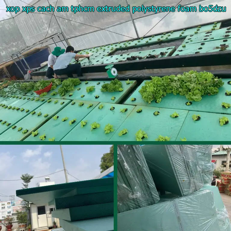 Model xốp XPS cách âm TpHCM Extruded Polystyrene Foam: BO5DZU