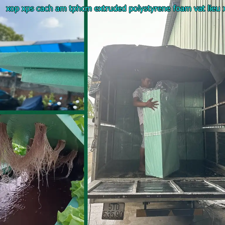 Nhà cung cấp xốp XPS cách âm TpHCM Extruded Polystyrene Foam: Vật Liệu Xây Dựng Mr.HẢI