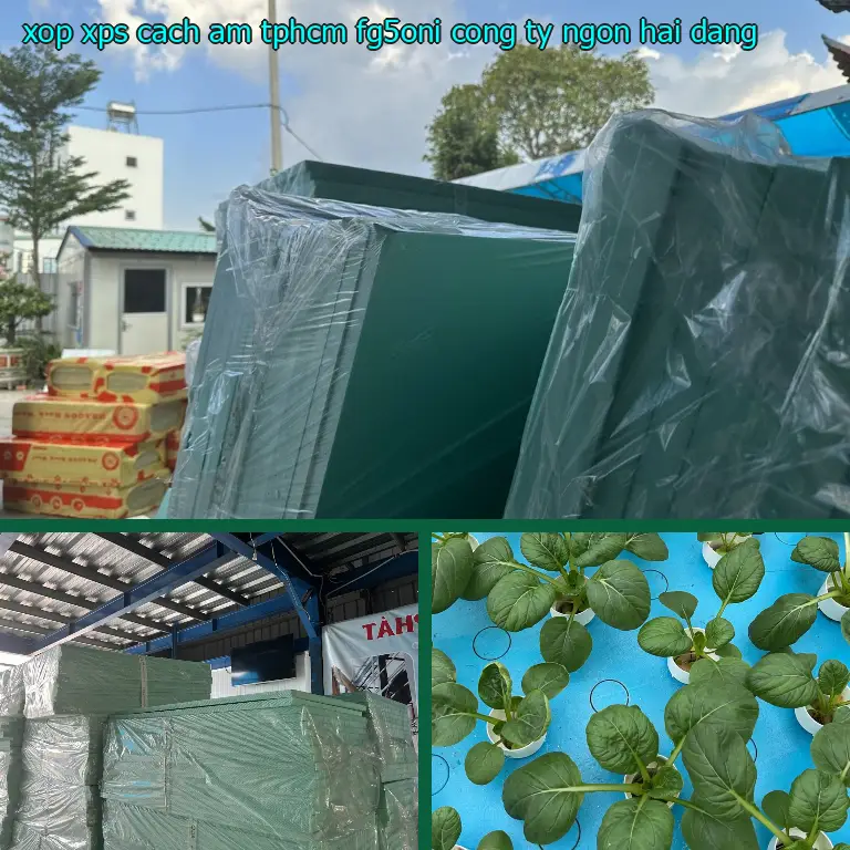Nhà cung cấp xốp XPS cách âm TpHCM FG5ONI: Công ty Ngọn Hải Đăng Nhà cung cấp xốp XPS cách âm TpHCM FG5ONI: Công ty Ngọn Hải Đăng
