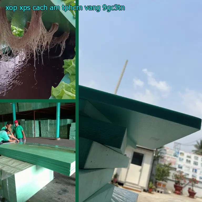Model xốp XPS cách âm TpHCM Vàng: 9GC3TN Model xốp XPS cách âm TpHCM Vàng: 9GC3TN