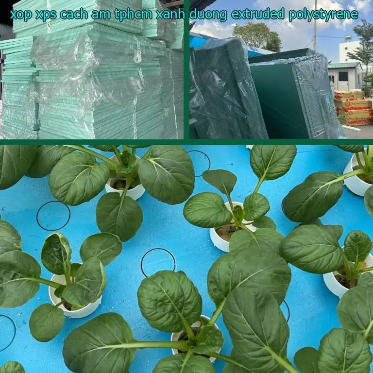 Chất liệu xốp XPS cách âm TpHCM Xanh dương: Extruded Polystyrene