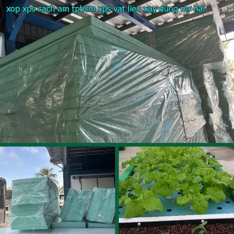 Nhà cung cấp xốp XPS cách âm TpHCM XPS: Vật Liệu Xây Dựng Mr.HẢI Nhà cung cấp xốp XPS cách âm TpHCM XPS: Vật Liệu Xây Dựng Mr.HẢI