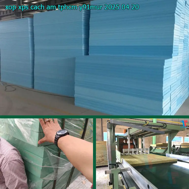 Ngày sản xuất xốp XPS cách âm TpHCM Y91MUR: 2025-04-20 Ngày sản xuất xốp XPS cách âm TpHCM Y91MUR: 2025-04-20