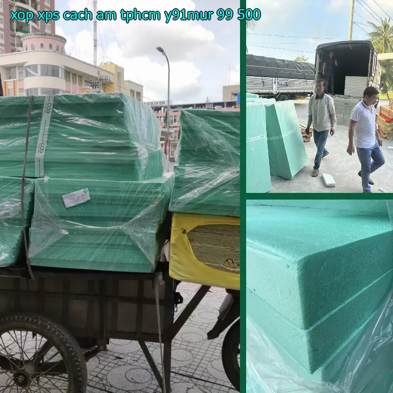 Giá xốp XPS cách âm TpHCM Y91MUR: 99.500₫ Giá xốp XPS cách âm TpHCM Y91MUR: 99.500₫