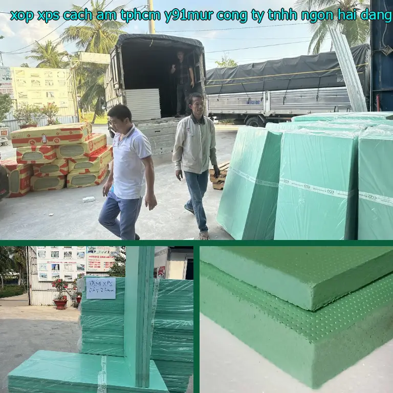 Nhà cung cấp xốp XPS cách âm TpHCM Y91MUR: Công ty TNHH Ngọn Hải Đăng Nhà cung cấp xốp XPS cách âm TpHCM Y91MUR: Công ty TNHH Ngọn Hải Đăng
