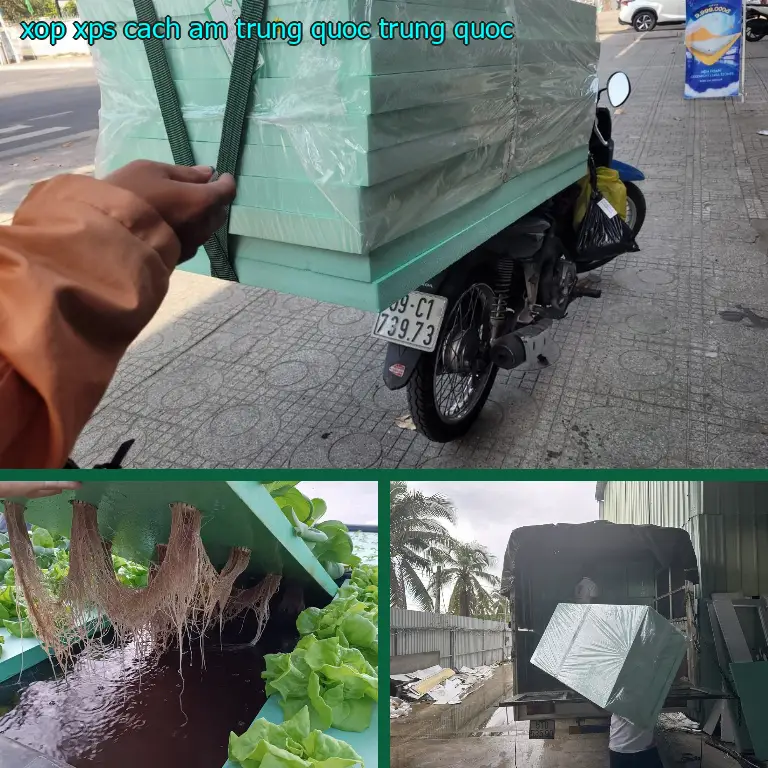 Xuất xứ xốp XPS cách âm Trung Quốc: Trung Quốc Xuất xứ xốp XPS cách âm Trung Quốc: Trung Quốc
