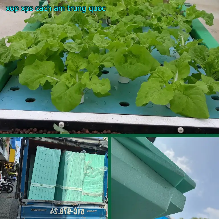 Xốp XPS cách âm Trung Quốc