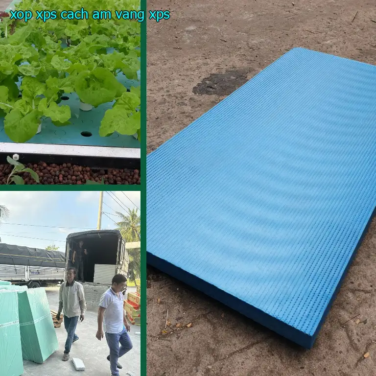 Chất liệu xốp XPS cách âm Vàng: XPS Chất liệu xốp XPS cách âm Vàng: XPS