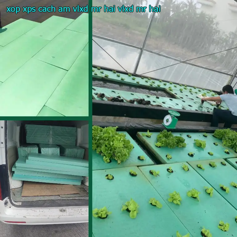 Nhà cung cấp xốp XPS cách âm VLXD Mr.HẢI: VLXD Mr.HẢI