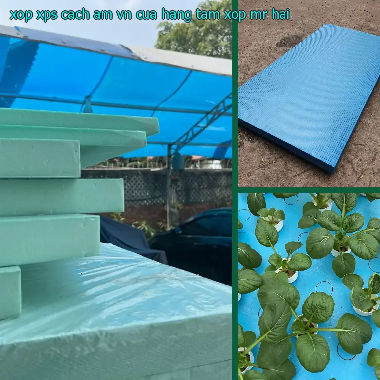 Nhà cung cấp xốp XPS cách âm VN: Cửa hàng tấm xốp Mr.HẢI Nhà cung cấp xốp XPS cách âm VN: Cửa hàng tấm xốp Mr.HẢI