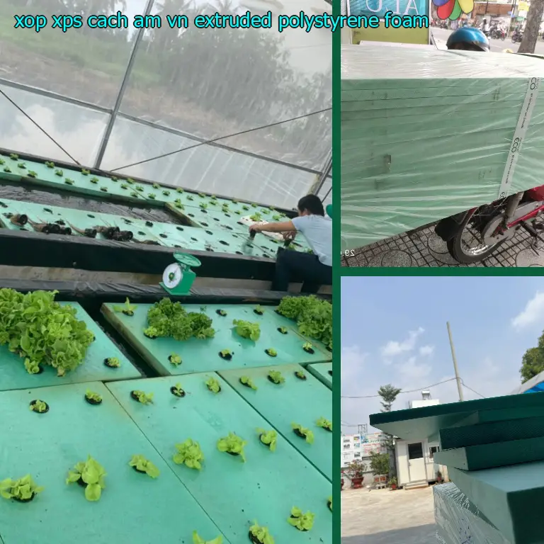 Chất liệu xốp XPS cách âm VN: Extruded Polystyrene Foam Chất liệu xốp XPS cách âm VN: Extruded Polystyrene Foam
