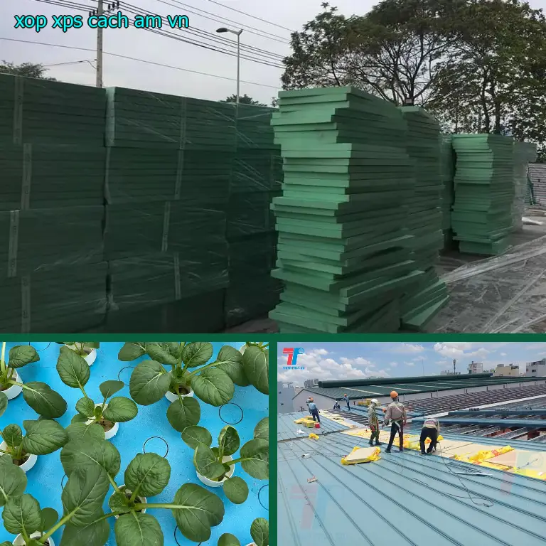 Xốp XPS cách âm VN