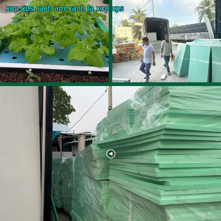 Danh mục xốp XPS cách âm Xanh lá: Xốp XPS Danh mục xốp XPS cách âm Xanh lá: Xốp XPS