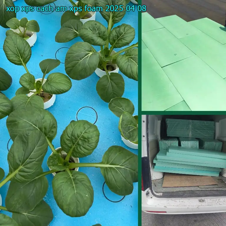 Ngày sản xuất xốp XPS cách âm XPS Foam: 2025-04-08 Ngày sản xuất xốp XPS cách âm XPS Foam: 2025-04-08
