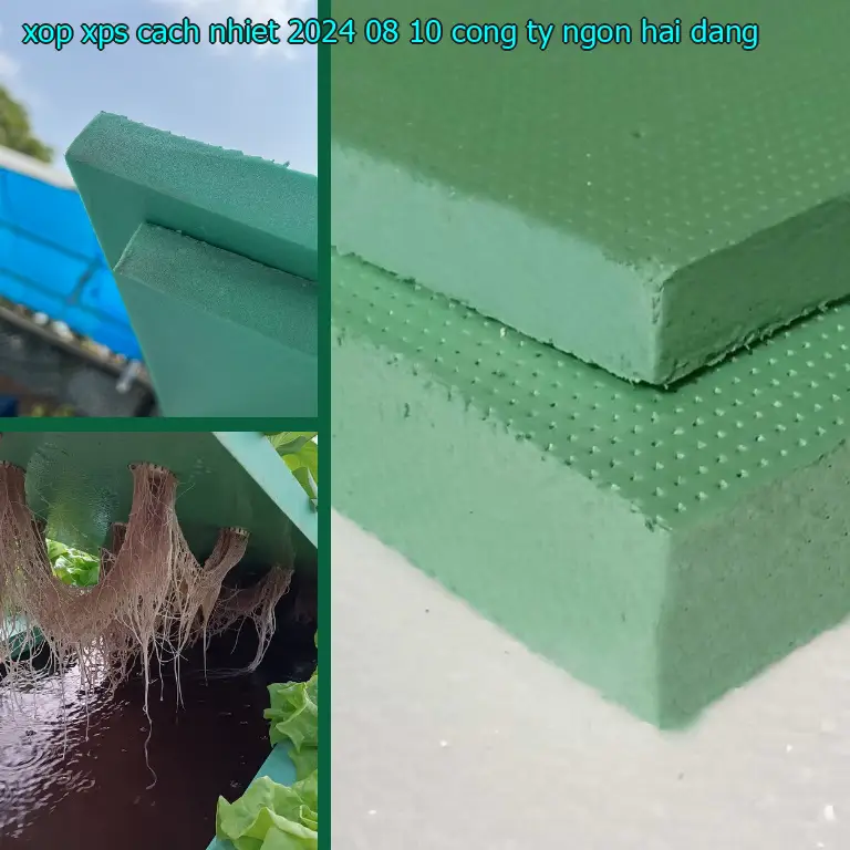 Nhà cung cấp xốp XPS cách nhiệt 2024-08-10: Công ty Ngọn Hải Đăng Nhà cung cấp xốp XPS cách nhiệt 2024-08-10: Công ty Ngọn Hải Đăng