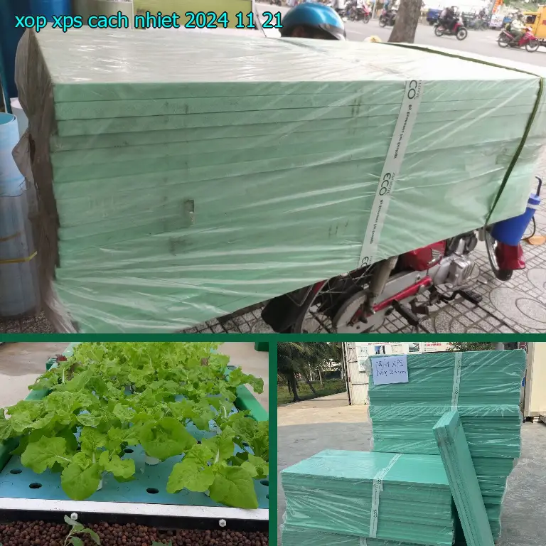 Xốp XPS cách nhiệt 2024-11-21