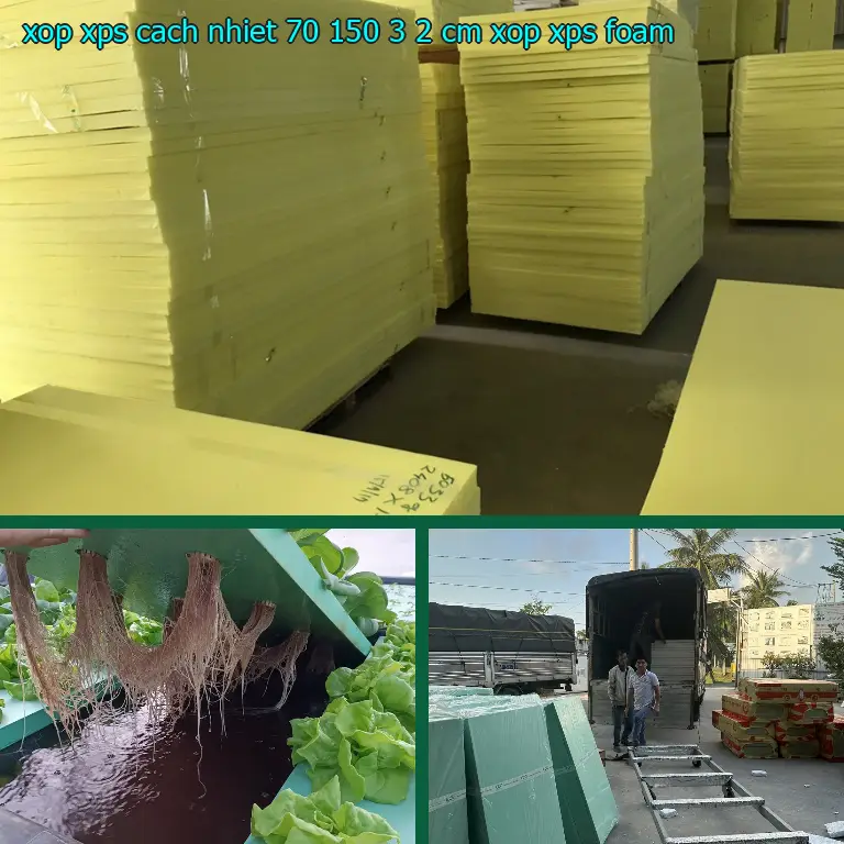 Danh mục xốp XPS cách nhiệt 70*150*3.2 cm: Xốp XPS Foam Danh mục xốp XPS cách nhiệt 70*150*3.2 cm: Xốp XPS Foam