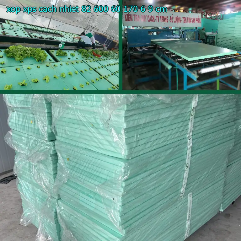 Kích thước xốp XPS cách nhiệt 82.600₫: 60*170*6.9 cm Kích thước xốp XPS cách nhiệt 82.600₫: 60*170*6.9 cm