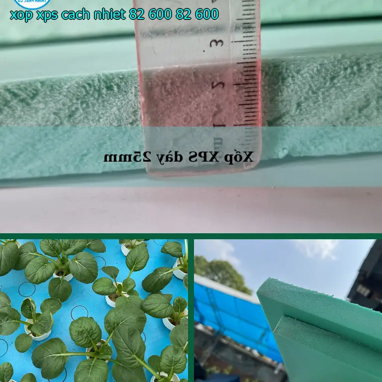 Đơn giá xốp XPS cách nhiệt 82.600₫: 82.600₫ Đơn giá xốp XPS cách nhiệt 82.600₫: 82.600₫