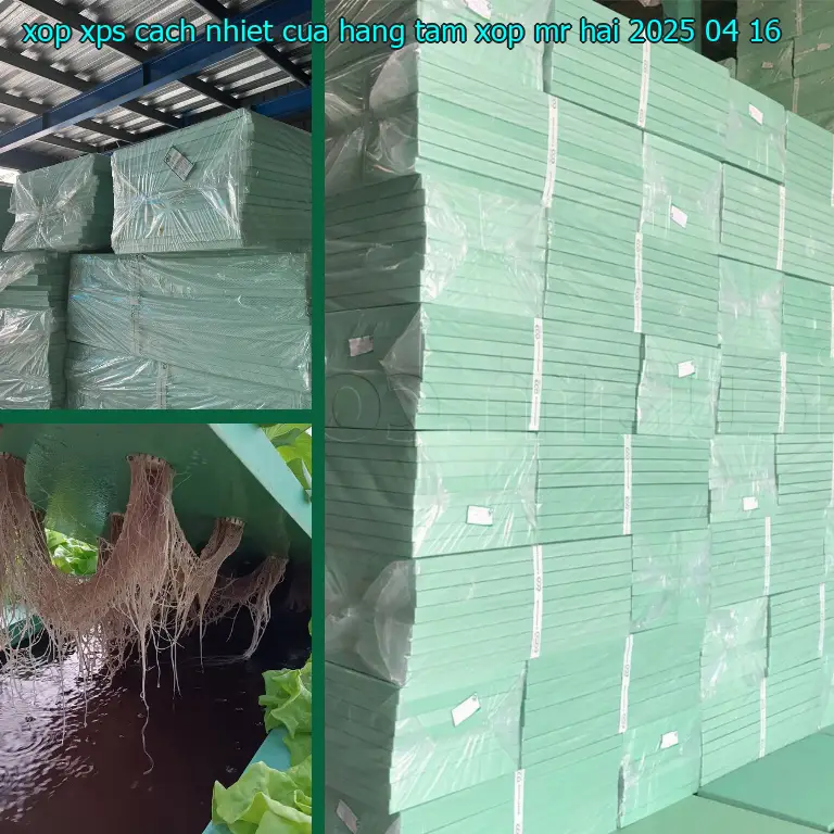 Ngày sản xuất xốp XPS cách nhiệt Cửa hàng tấm xốp Mr.HẢI: 2025-04-16 Ngày sản xuất xốp XPS cách nhiệt Cửa hàng tấm xốp Mr.HẢI: 2025-04-16