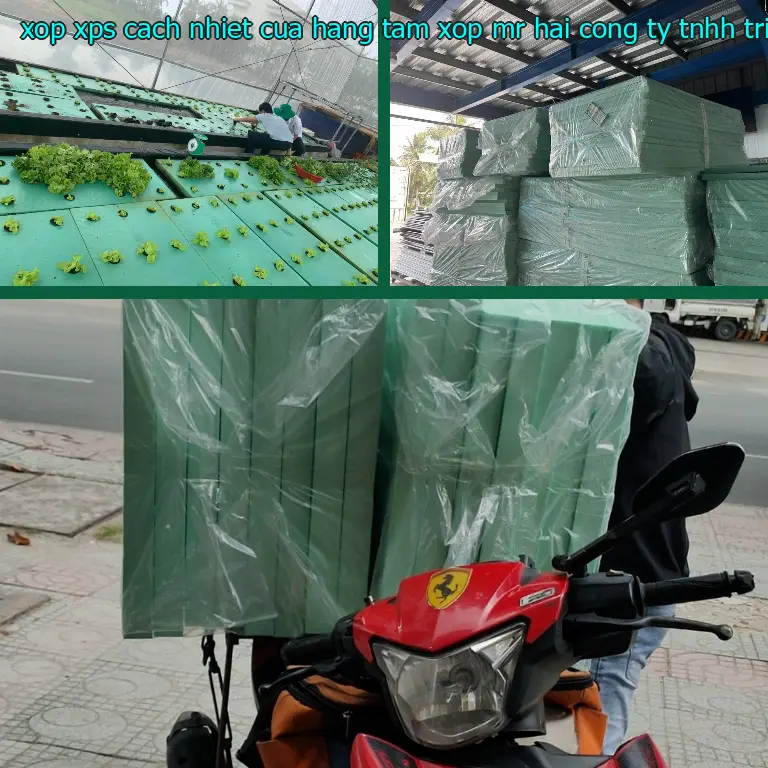 Nhà sản xuất xốp XPS cách nhiệt Cửa hàng tấm xốp Mr.HẢI: Công ty TNHH Triệu Hổ Nhà sản xuất xốp XPS cách nhiệt Cửa hàng tấm xốp Mr.HẢI: Công ty TNHH Triệu Hổ