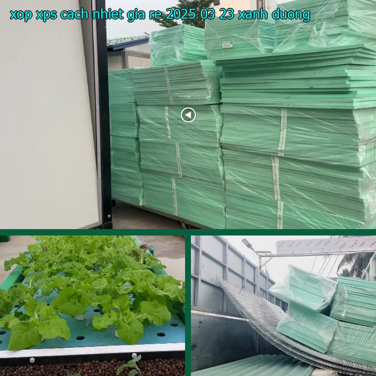 Màu sắc xốp XPS cách nhiệt giá rẻ 2025-03-23: Xanh dương Màu sắc xốp XPS cách nhiệt giá rẻ 2025-03-23: Xanh dương