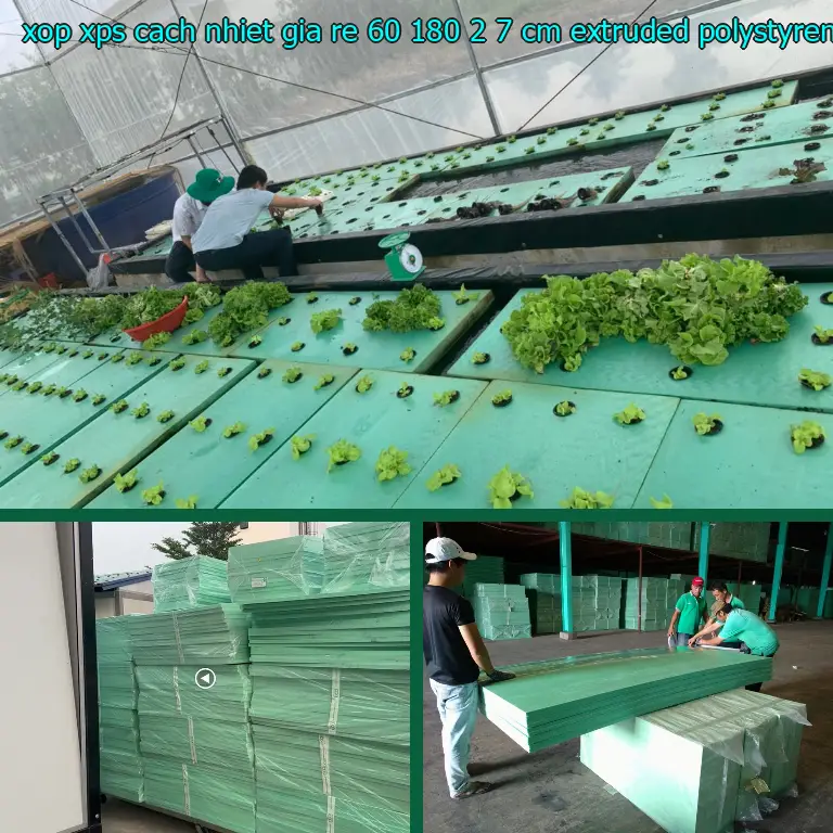 Chất liệu xốp XPS cách nhiệt giá rẻ 60*180*2.7 cm: Extruded Polystyrene Foam Chất liệu xốp XPS cách nhiệt giá rẻ 60*180*2.7 cm: Extruded Polystyrene Foam